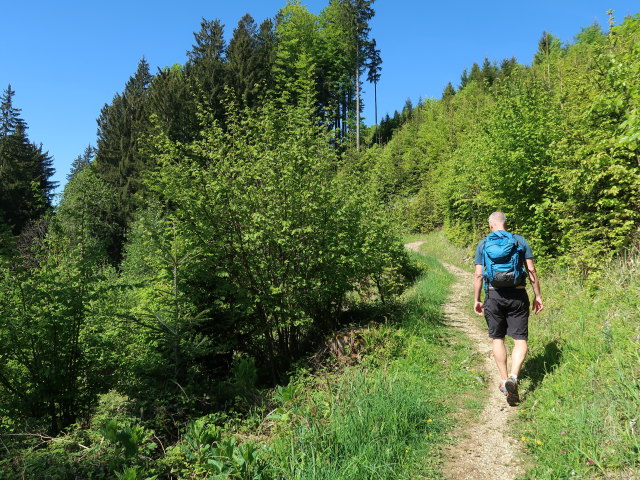 Frank zwischen Br&uuml;ckelstube und Aussichtsplattform Hollerberg