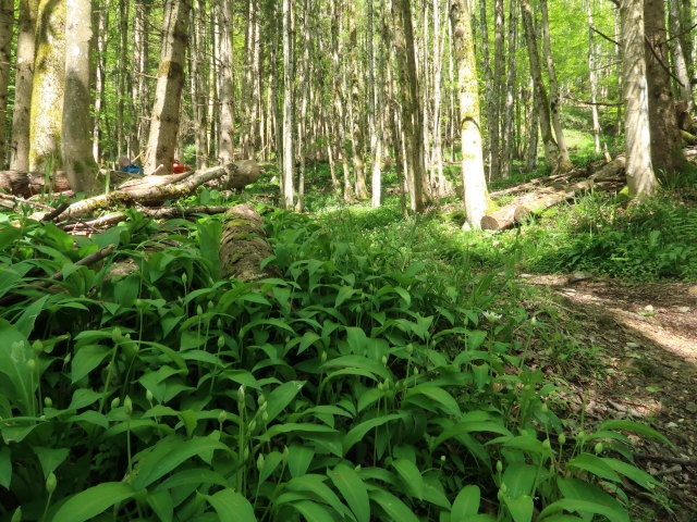 Frank und Melanie zwischen Br&uuml;ckelstube und Aussichtsplattform Hollerberg