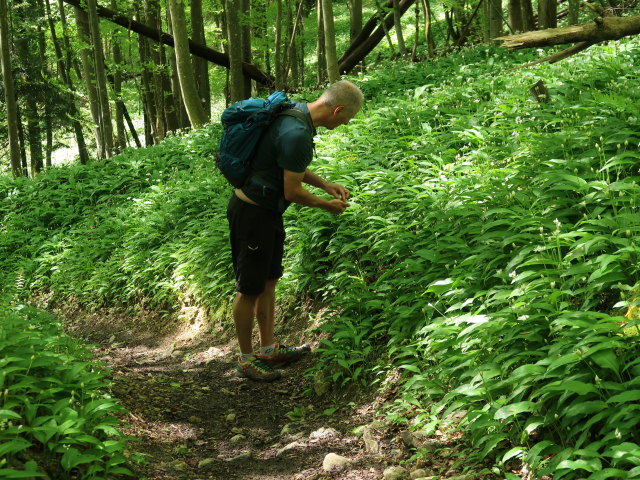 Frank zwischen Br&uuml;ckelstube und Aussichtsplattform Hollerberg