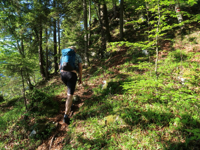 Frank zwischen Strobl und Brustwand