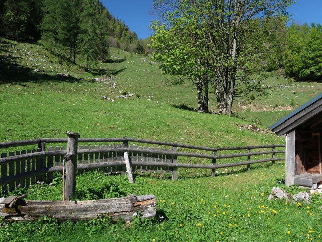 D&uuml;rntalalm, 977 m