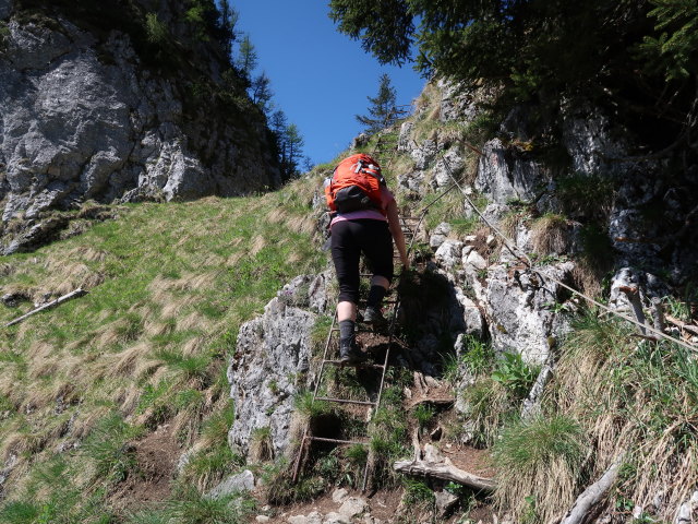 Melanie zwischen D&uuml;rntalalm und Sparber