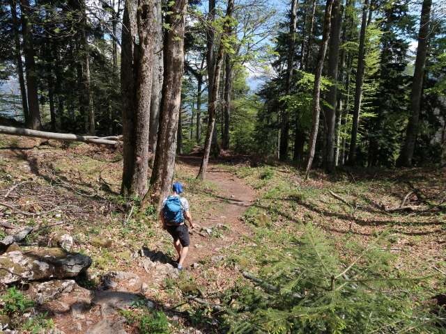 Frank zwischen Sparber und D&uuml;rntalalm