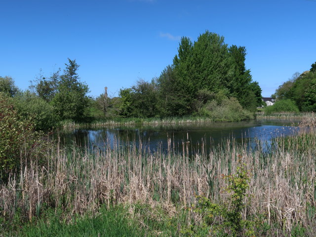 Oplevelsescenter Nyvang in Holb&aelig;k (17. Mai)