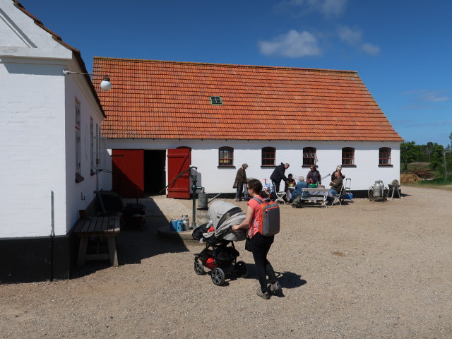 Nils und Sabine im Oplevelsescenter Nyvang in Holb&aelig;k (17. Mai)