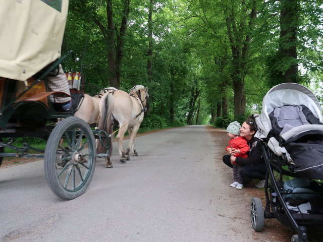 Nils und Sabine im Oplevelsescenter Nyvang in Holb&aelig;k (17. Mai)