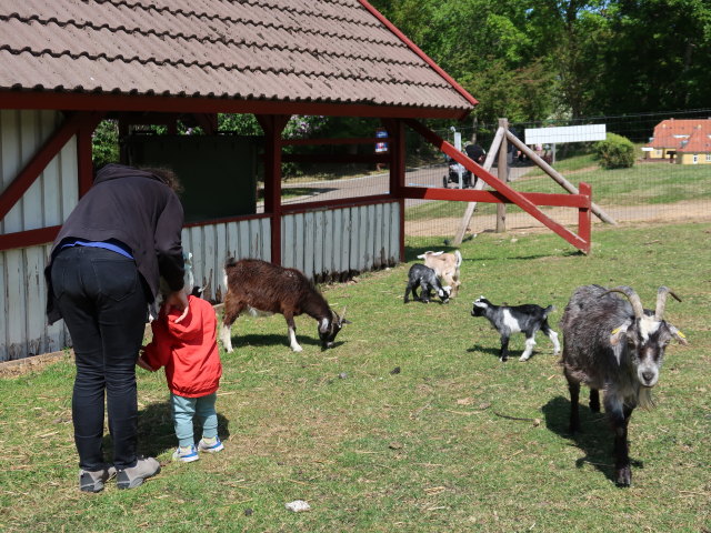 Sabine und Nils im Sommerland Sj&aelig;lland in N&oslash;rre Asmindrup (18. Mai)