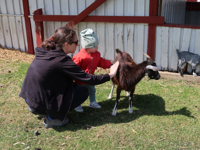 Sabine und Nils im Sommerland Sj&aelig;lland in N&oslash;rre Asmindrup (18. Mai)