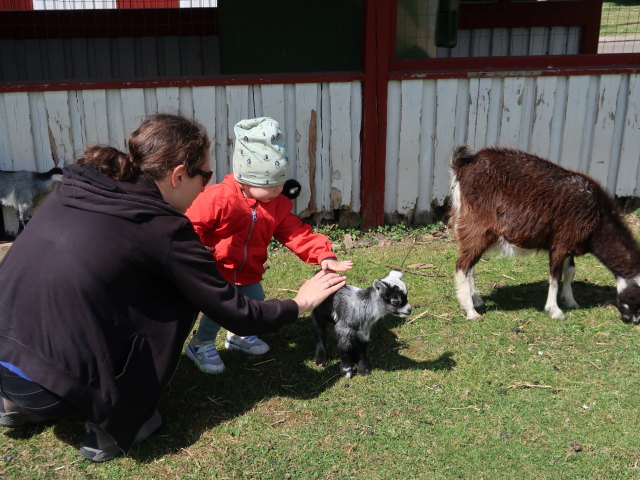 Sabine und Nils im Sommerland Sj&aelig;lland in N&oslash;rre Asmindrup (18. Mai)