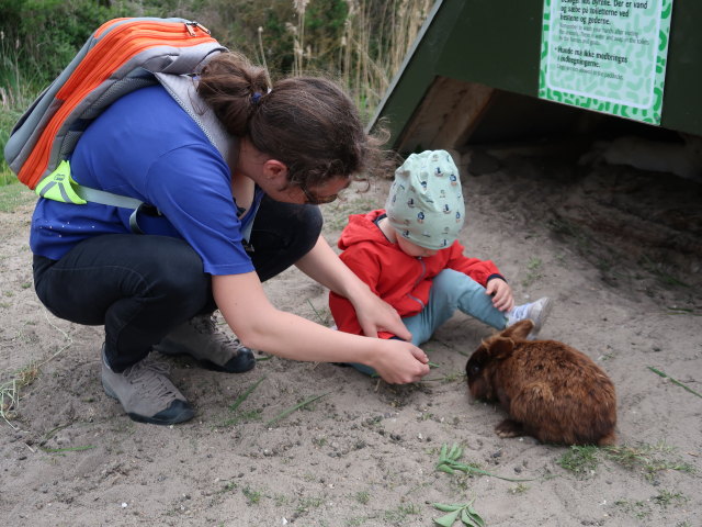 Sabine und Nils im Sommerland Sj&aelig;lland in N&oslash;rre Asmindrup (18. Mai)