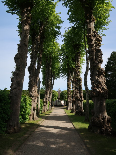 Egeskov Haven in Kv&aelig;rndrup (19. Mai)