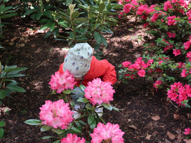 Nils im Egeskov Haven in Kv&aelig;rndrup (19. Mai)