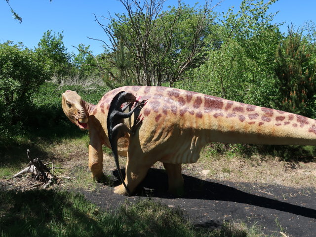 Dinosaurierpark im Givskud Zoo in Give (20. Mai)
