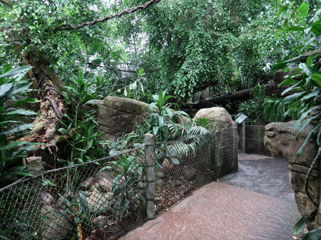 S&uuml;damerika in Randers Regnskov (23. Mai)