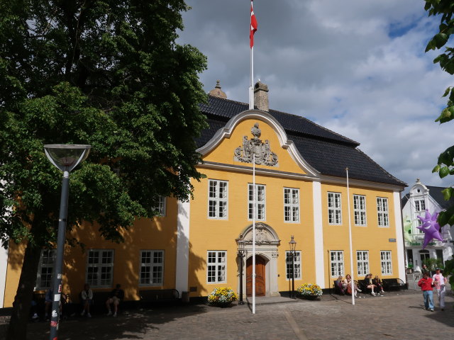 Aalborg R&aring;dhus (24. Mai)