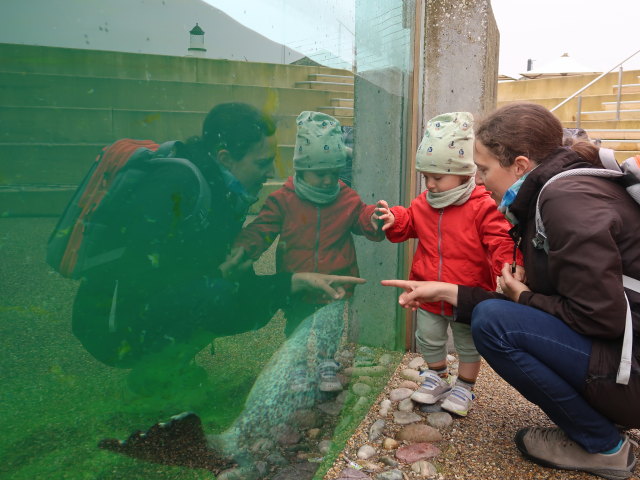 Nils und Sabine beim Robbenbecken im Nords&oslash;en Oceanarium in Hirtshals (25. Mai)