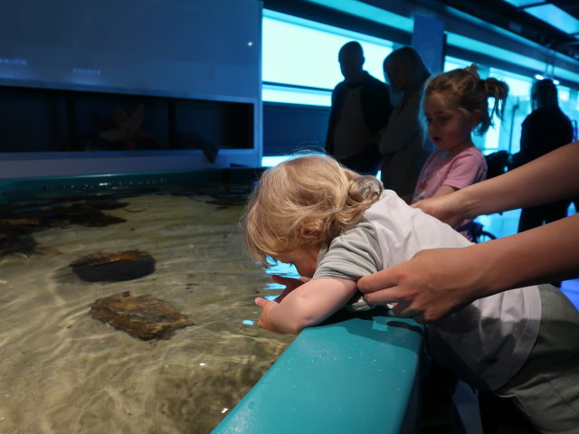 Nils im Nords&oslash;en Oceanarium in Hirtshals (25. Mai)
