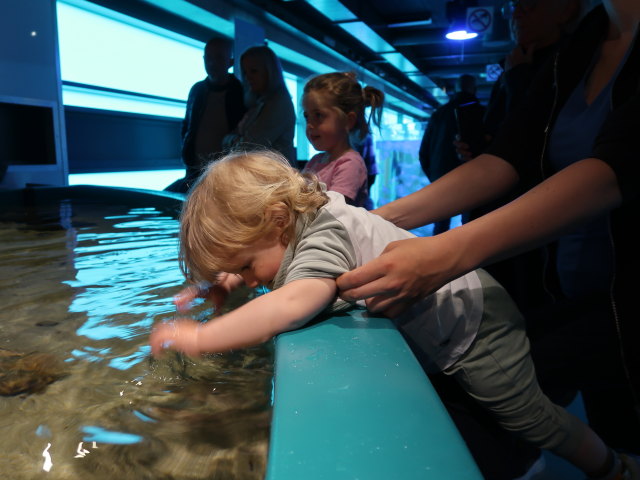 Nils im Nords&oslash;en Oceanarium in Hirtshals (25. Mai)