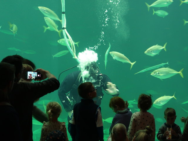Nords&oslash;en Oceanarium in Hirtshals (25. Mai)