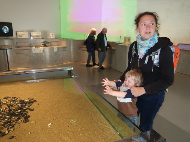 Nils und Sabine im Vadehavscentret in Ribe (28. Mai)