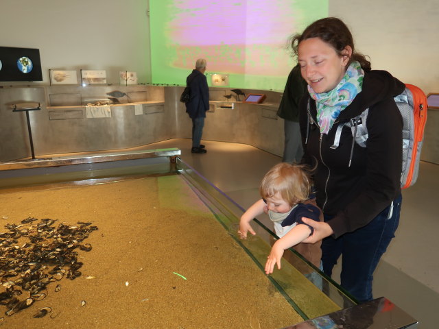 Nils und Sabine im Vadehavscentret in Ribe (28. Mai)