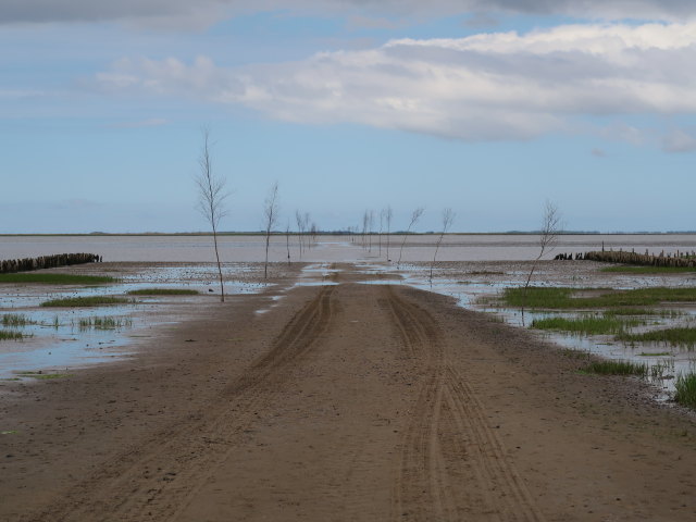 Vadehavet bei Ribe (28. Mai)