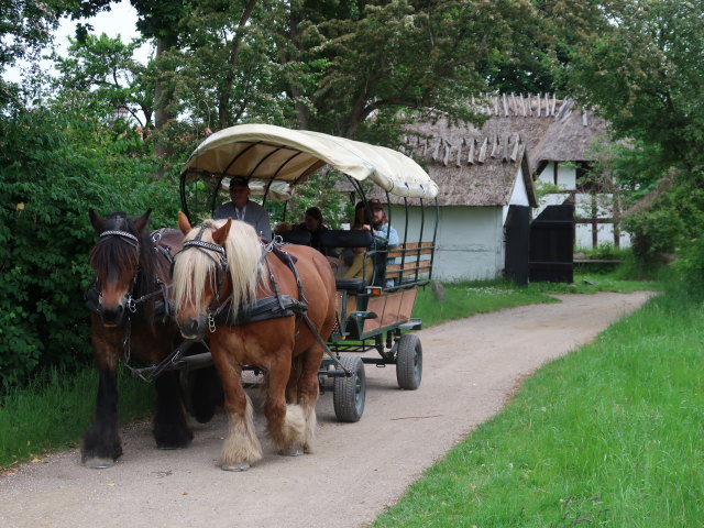 Frilandsmuseet in Kongens Lyngby (1. Juni)