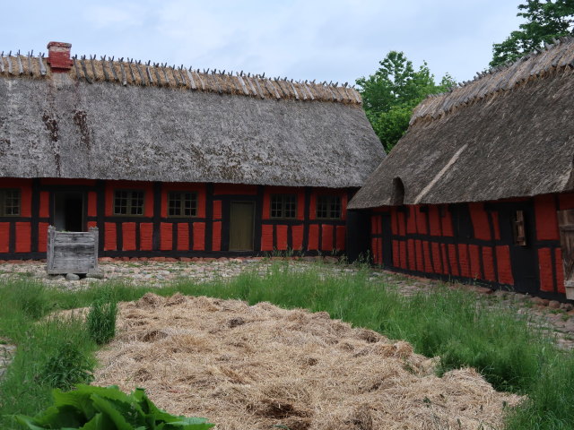 Frilandsmuseet in Kongens Lyngby (1. Juni)