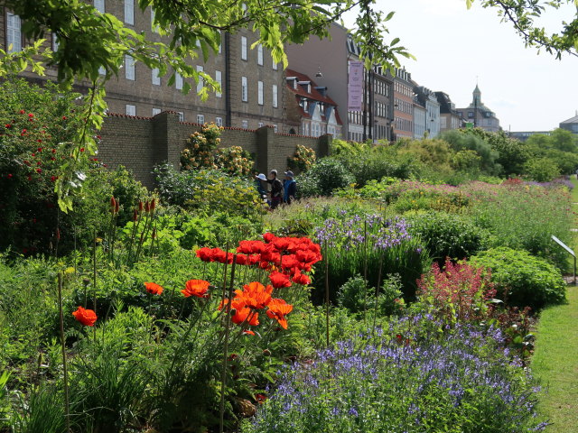 Kongens Have in K&oslash;benhavn (2. Juni)