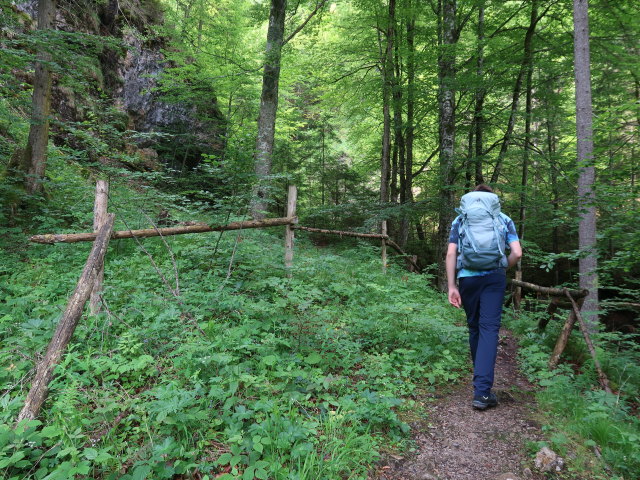 Tim zwischen Hochsteingraben und Hagstein (7. Juni)