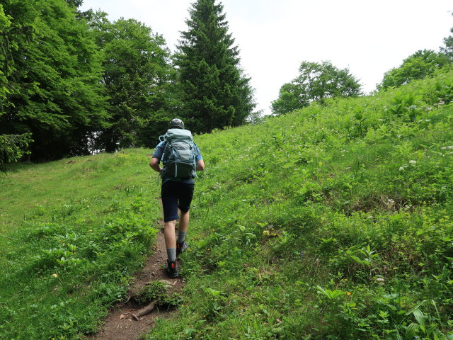 Tim zwischen Hagstein und Hochsteinalm (7. Juni)