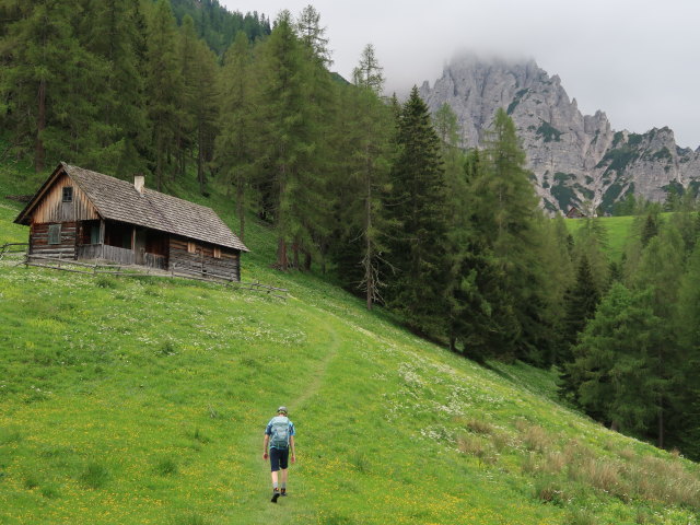 Tim auf der Hochsteinalm, 1.296 m (7. Juni)