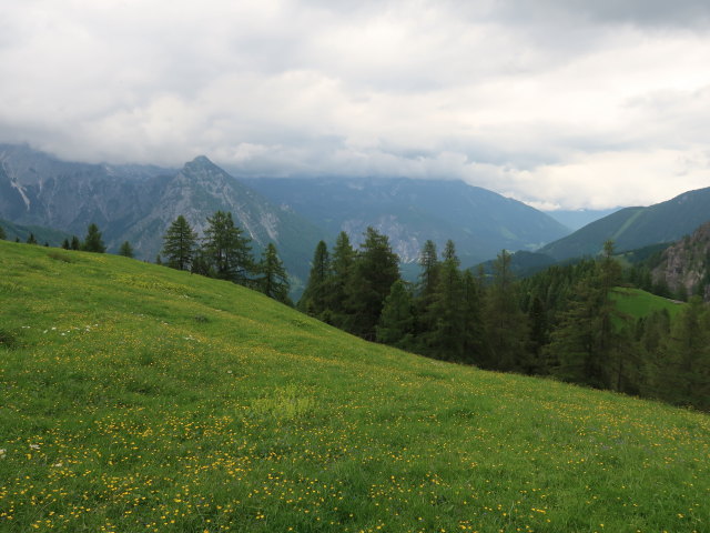 bei der L&ouml;gerh&uuml;tte (7. Juni)