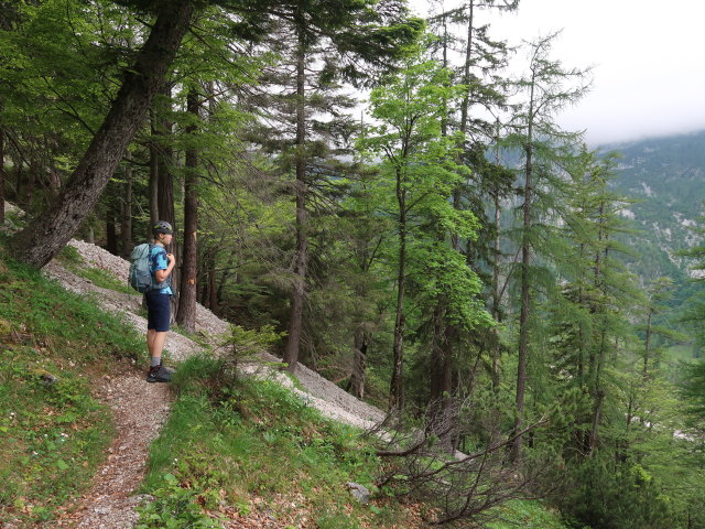 Tim am Stodertaler Dolomitensteig (7. Juni)