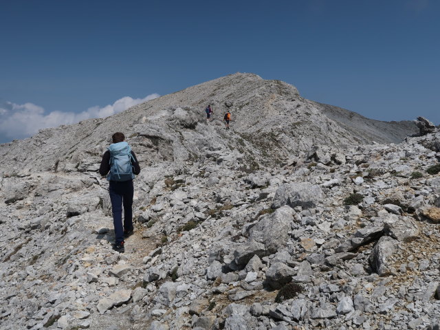 Tim zwischen Hochm&ouml;lbing und Kreuzspitze (9. Juni)