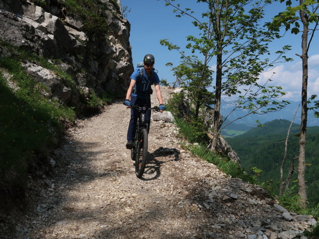 Tim zwischen Edtbauernalm und Unterer Edtbauernalm (9. Juni)