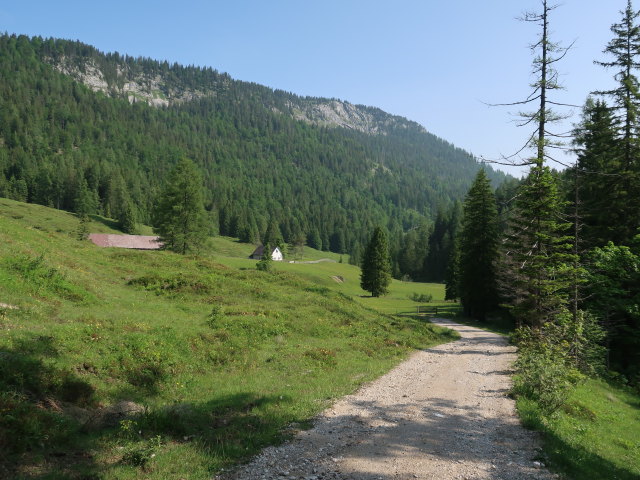 Rumpelmayrreith, 1.095 m (10. Juni)