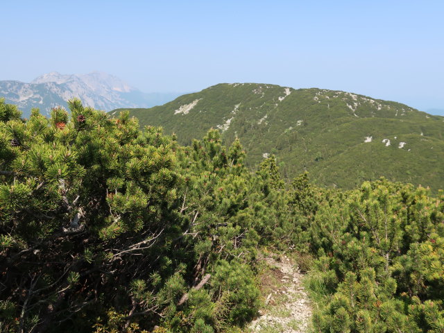 zwischen Halterh&uuml;ttental und Gro&szlig;em Gr&ouml;&szlig;tenberg (10. Juni)