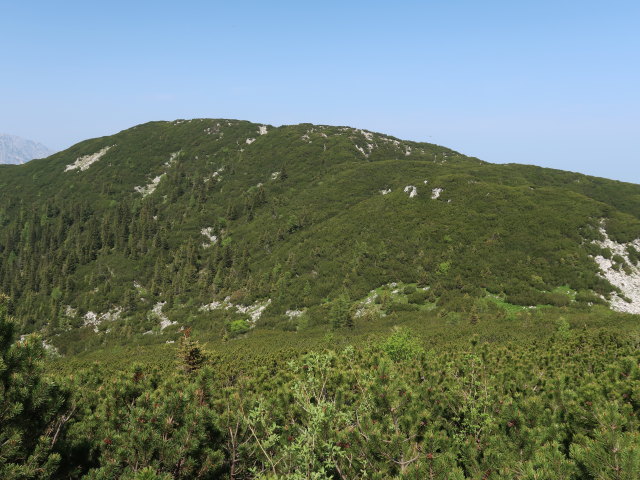 Kleiner Gr&ouml;&szlig;tenberg vom Gro&szlig;en Gr&ouml;&szlig;tenberg aus (10. Juni)
