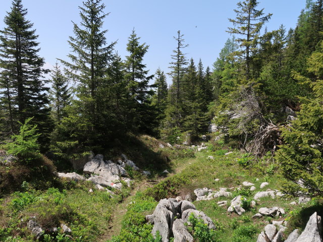 Halterh&uuml;ttental (10. Juni)