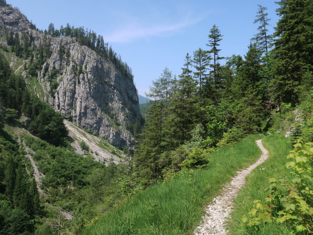zwischen Steyrsteg und Eisernem Herrgott (10. Juni)