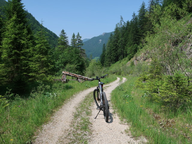 zwischen Pribilkreuz und Jagah&auml;usl (10. Juni)