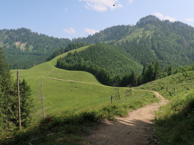 Ebenforstalm (10. Juni)