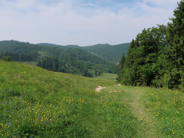 zwischen Ebenforstalm und Tr&auml;mpl (10. Juni)