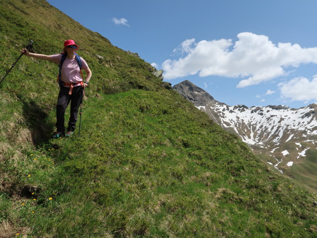 Irene am Kreefelder Weg zwischen Klet&ouml;rl und Reichenbergkar (14. Juni)