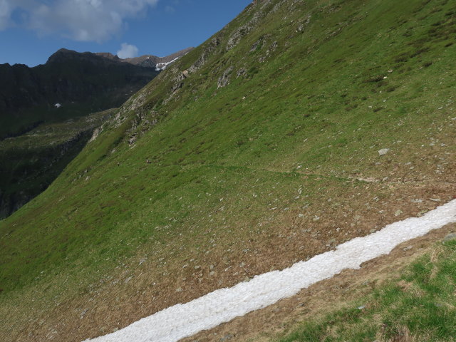 Reinhard und Irene am Krefelder Weg zwischen Schattseitlahner und Tauernmoossee (14. Juni)