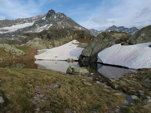 zwischen Vorderem Schafbichl und Hinterem Schafbichl (14. Juni)