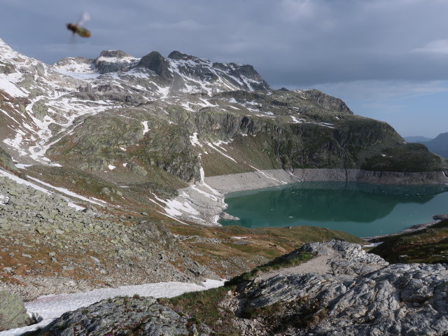 zwischen Kalser Tauern und Wei&szlig;see (15. Juni)