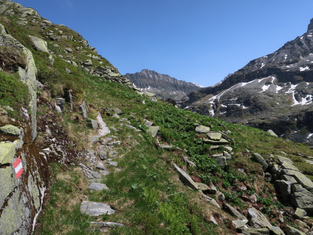 zwischen Wei&szlig;see und Steinerner Stiege (15. Juni)