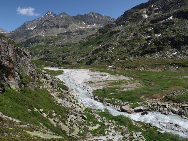 zwischen Eisbodenlacke und Tauernmoossee (15. Juni)